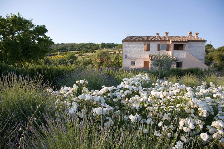 Sosta green lungo l’itinerario a piedi sul Monte Conero, Acanto County House