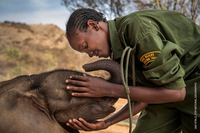Ami Vitale. My photos are stories of heroes on the frontline to save what’s left of the Planet