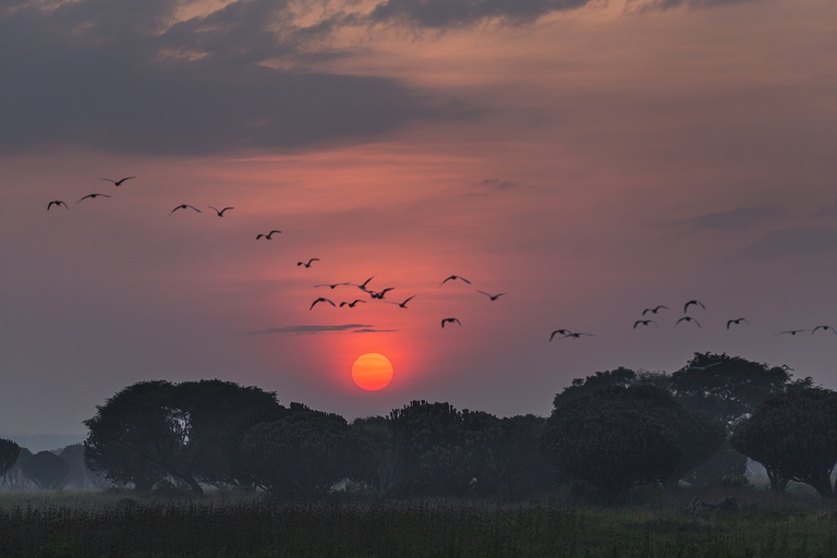 Tramonto nel parco nazionale dei Virunga