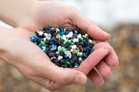 Perché le spiagge dello Sri Lanka sono ricoperte di granelli di plastica