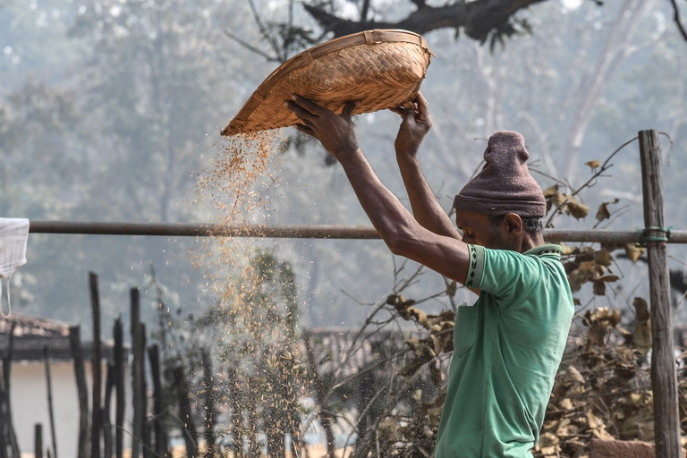 india-adivasi-indigeni