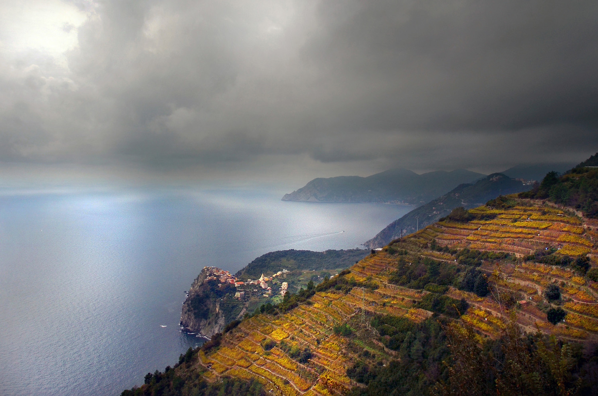 Terrazze delle Cinque Terre