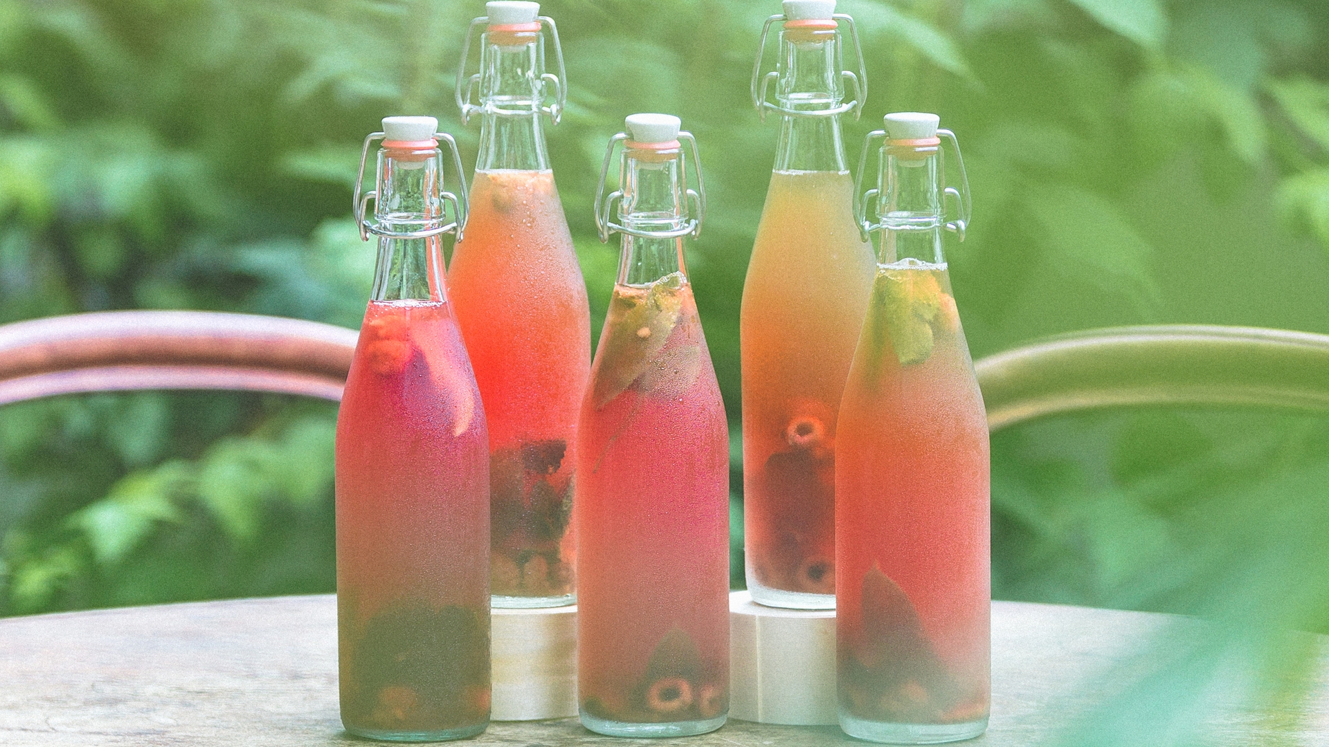 Netherlands Case Study - Little Plant Pantry