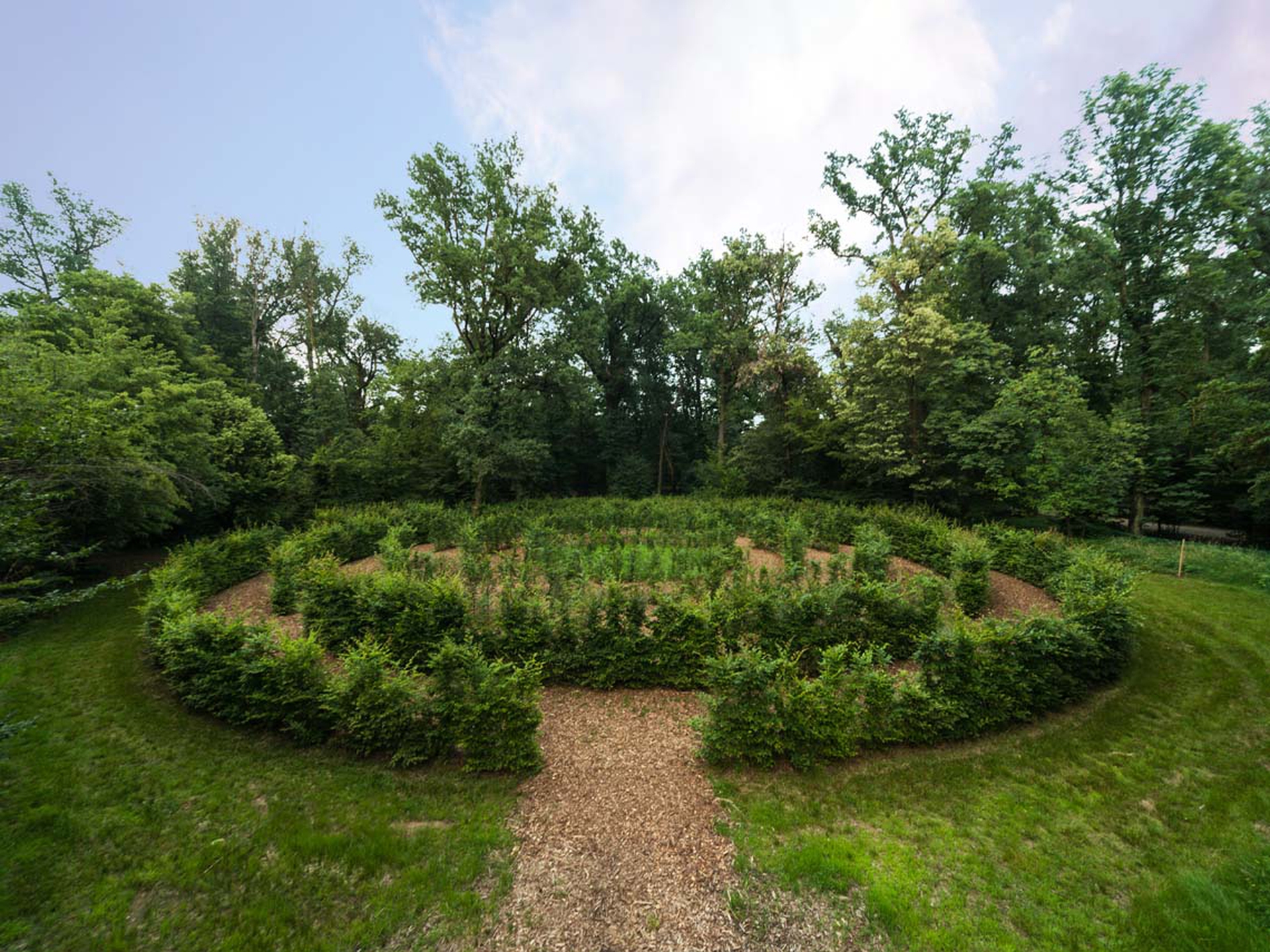 Il labirinto di siepi