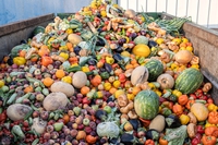 Con il cibo sprecato potremmo nutrire chi soffre di fame nel mondo, secondo il rapporto Food waste index 2024