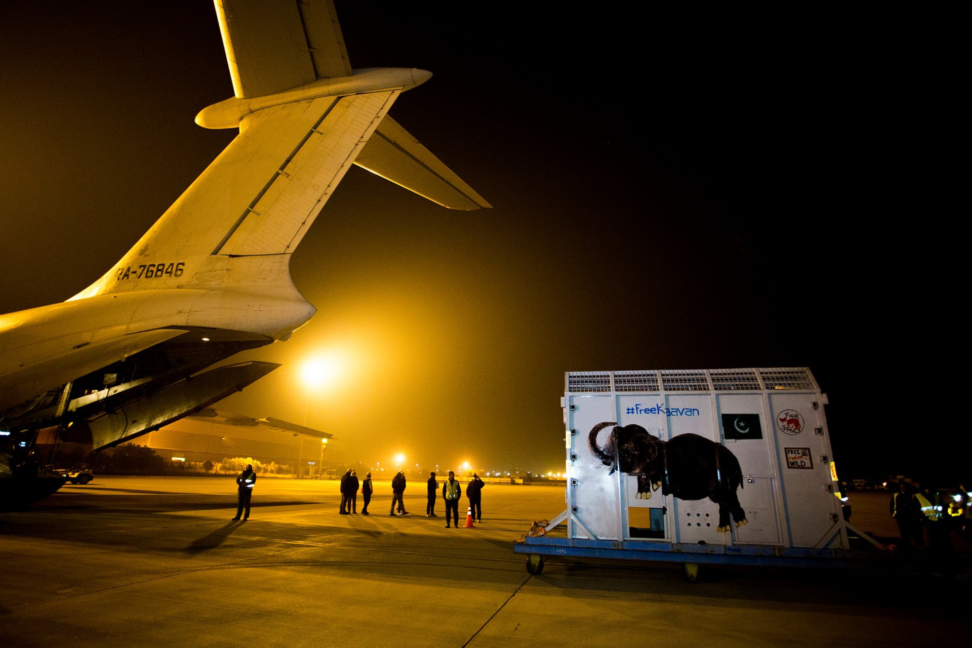 Il trasporto di kaavan