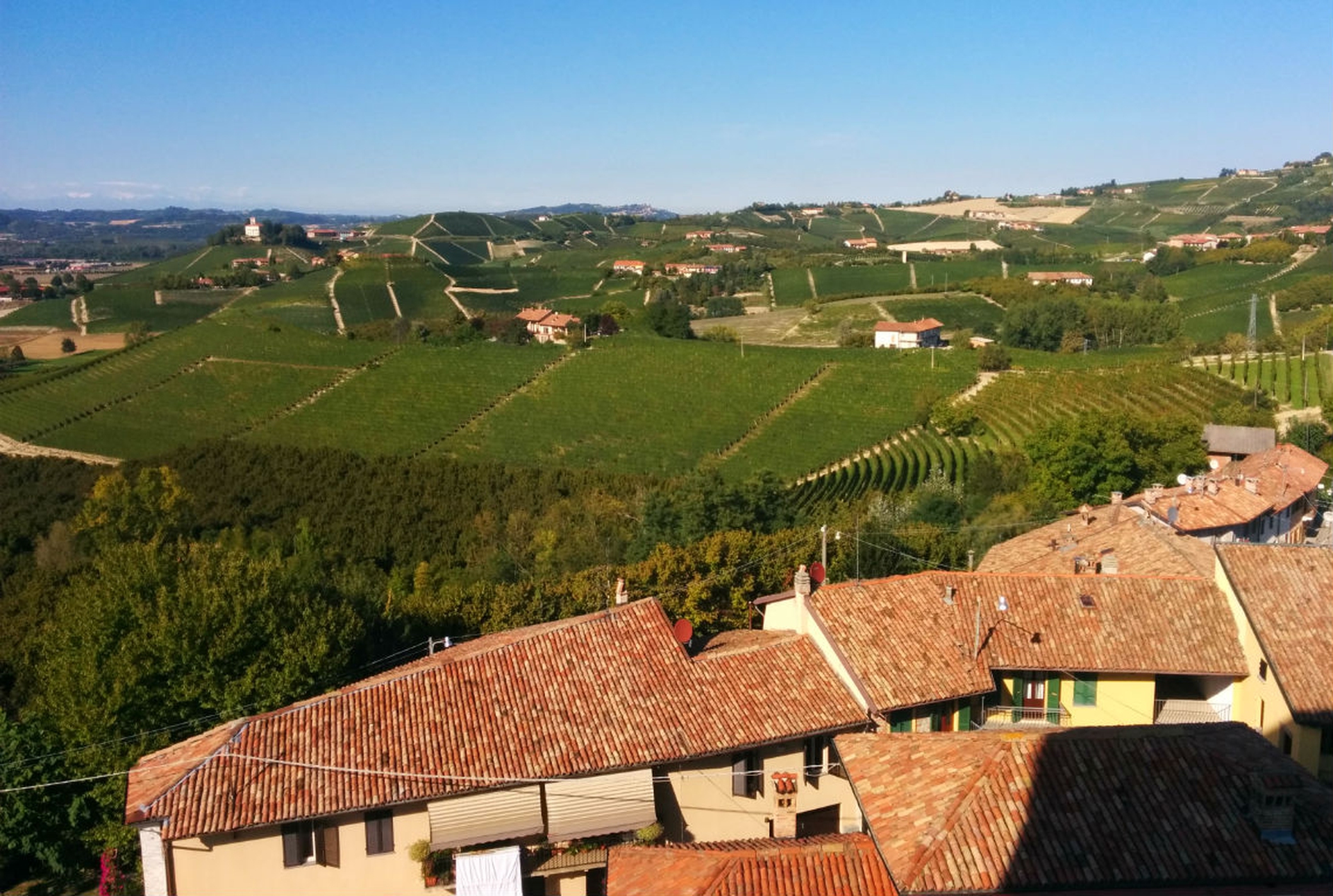Josetta Saffirio. Qui il vino è sostenibile e tutto al femminile