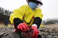 La Corea del Sud pulisce 164mila litri di petrolio entro lunedì