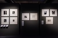Aprono i musei, tornano le mostre: 4 appuntamenti di fotografia da non perdere