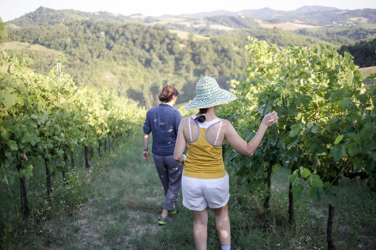 Visita a un vigneto appenninico