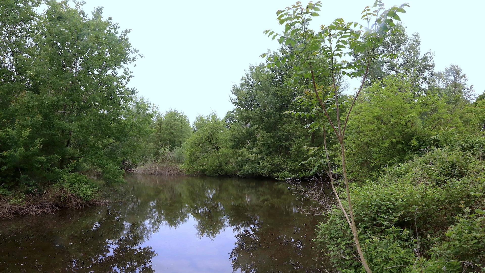 Uno specchio d'acqua all'interno della riserva © Beatrice Spagoni (ok IMG_1191)
