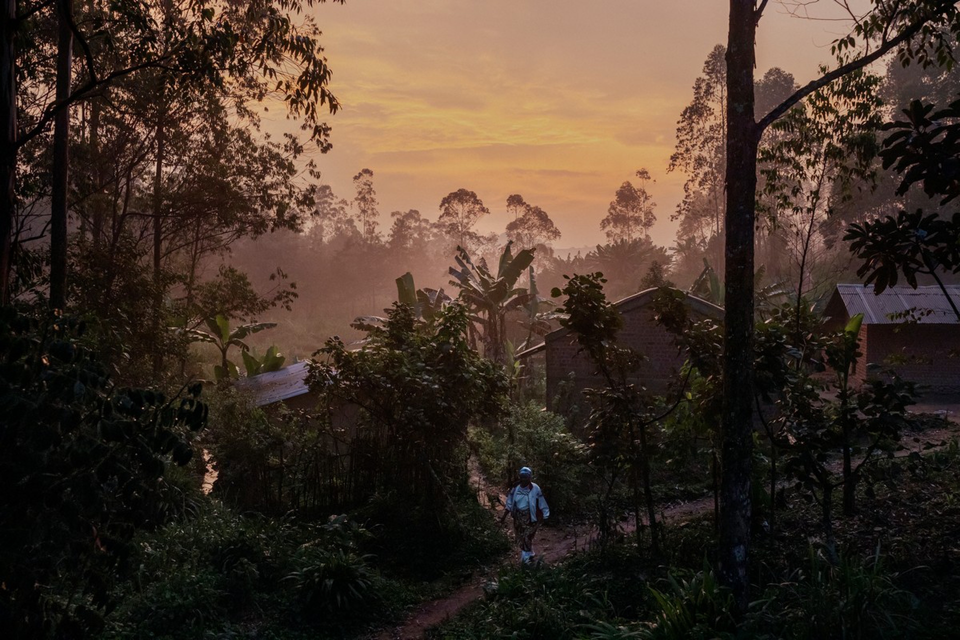 Ebola in DRC, July 2019
