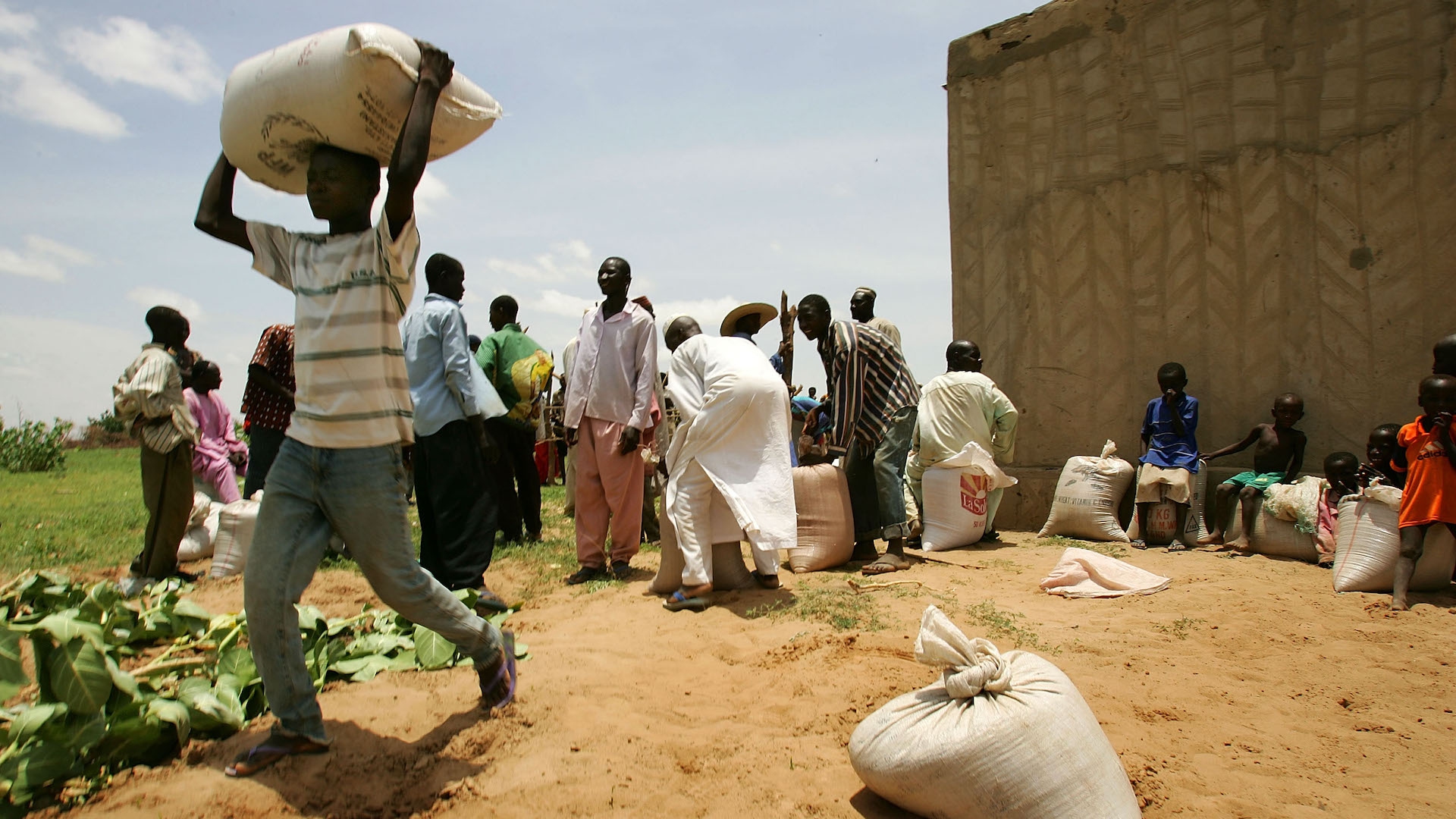 Top 26 Quante Persone Soffrono La Fame Nel Mondo Update - rlinstitutes.com