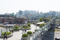 Seoullo 7017, over 250 tree species planted on a renovated overpass in Seoul