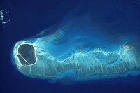 Historic High Seas Treaty signed to protect the world’s oceans