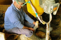 Come si fa(ceva) il paté de foie gras