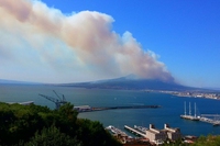 Vesuvio, incendi dolosi bruciano decine di ettari di parco