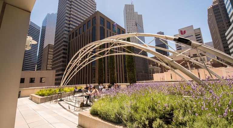 San Francisco, il giardino al 50 di California street 