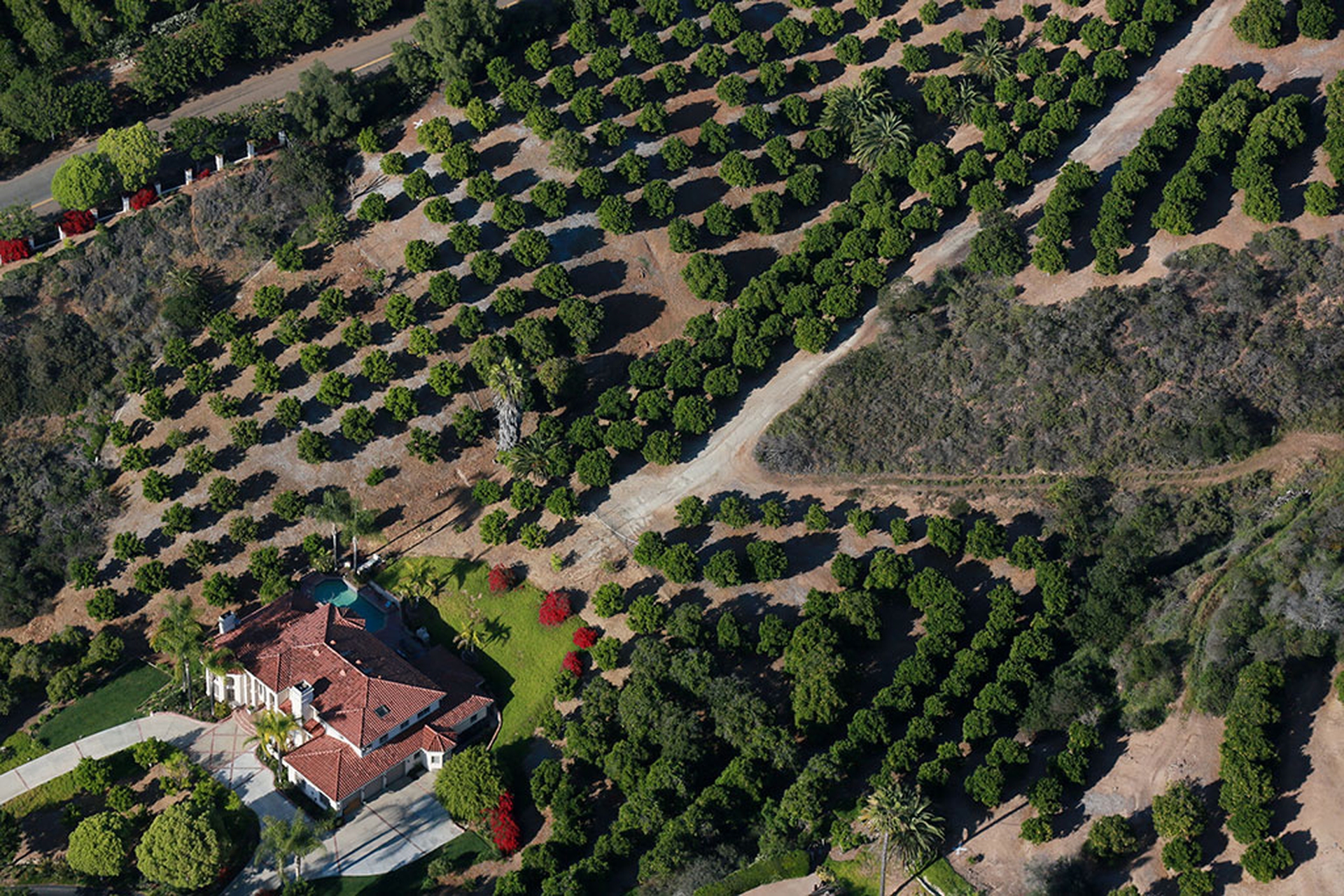 california-siccita-4