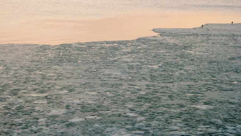 qualcosa di straordinario trama