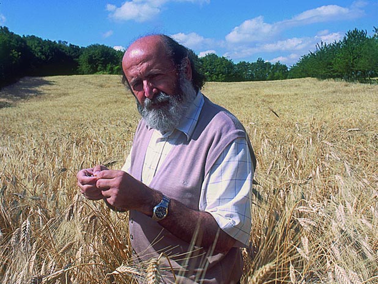 Girolomoni-Melaverde_2