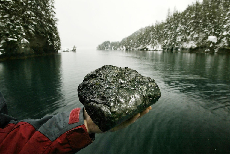  Exxon Valdez Petrolio mare