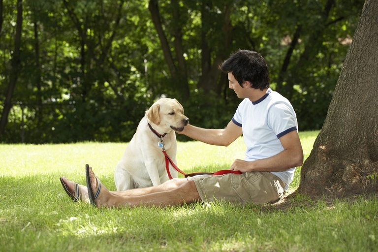 umomo con cane al parco