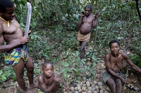 In Camerun i cacciatori di trofei sottraggono agli indigeni le loro terre