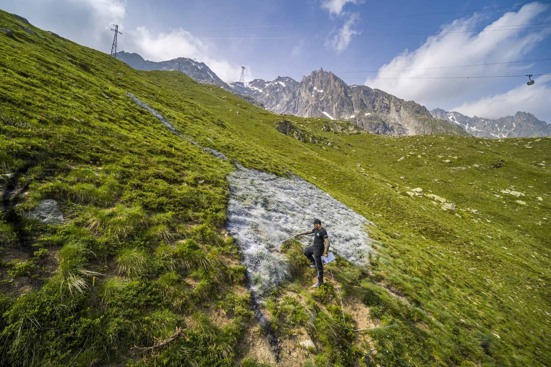 Saype, Une grande Dame