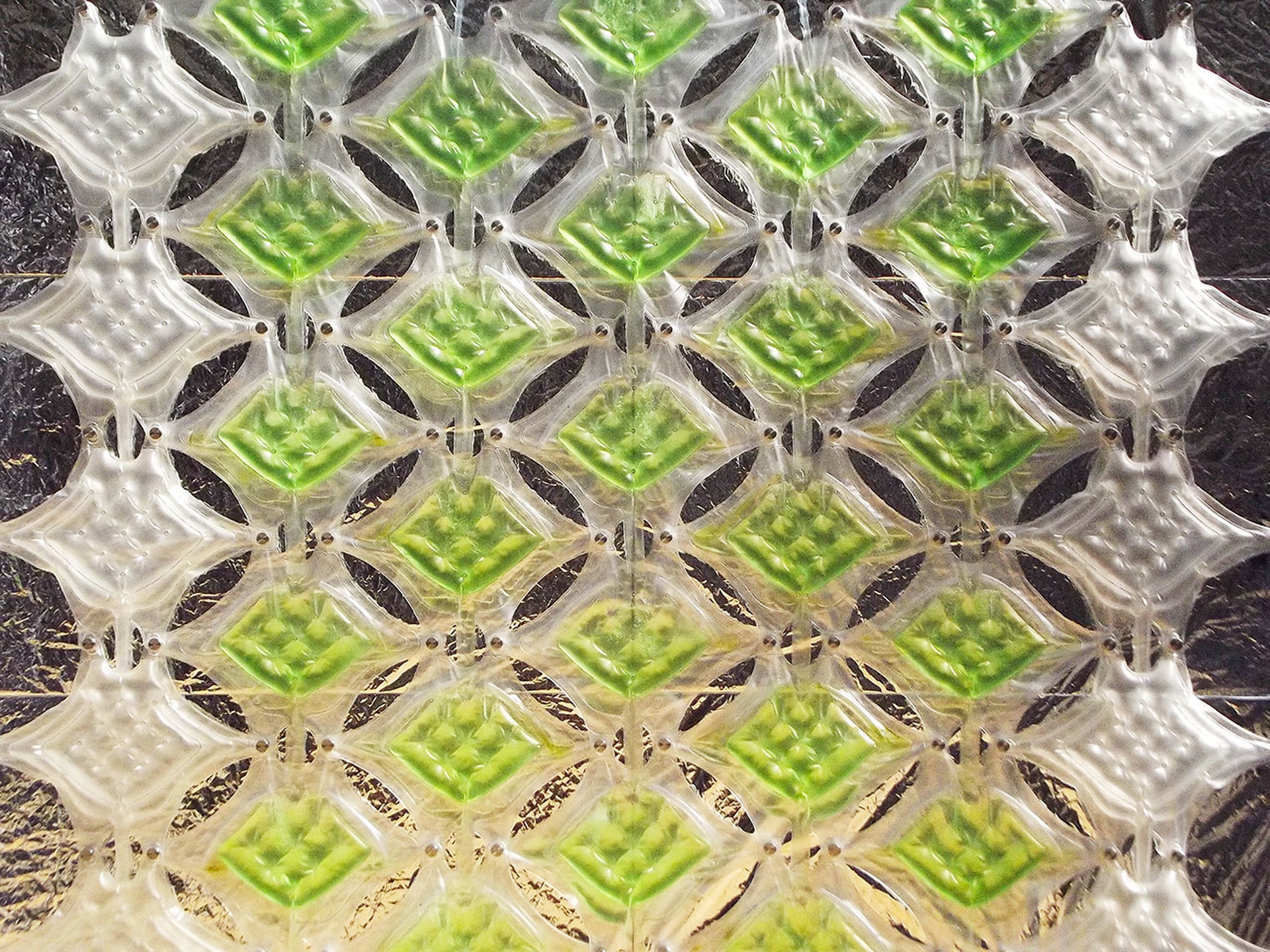 Urban Algae Canopy by Carlo Ratti