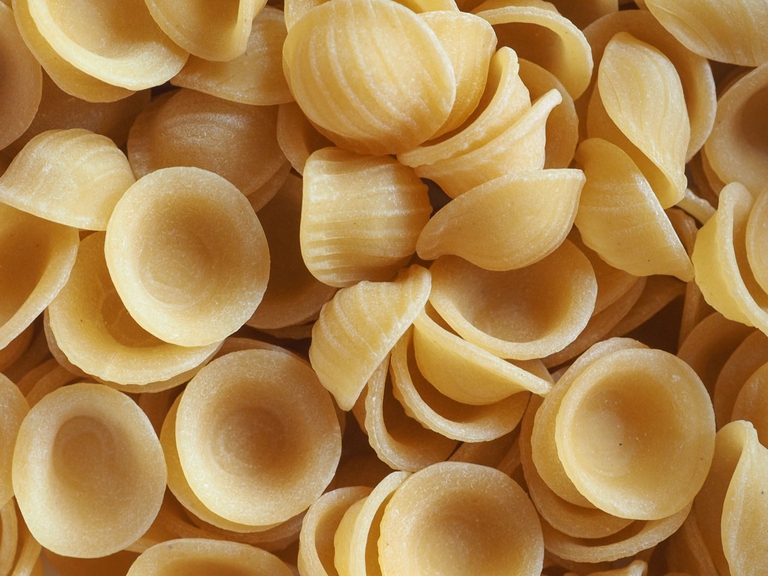 orecchiette con la ricotta