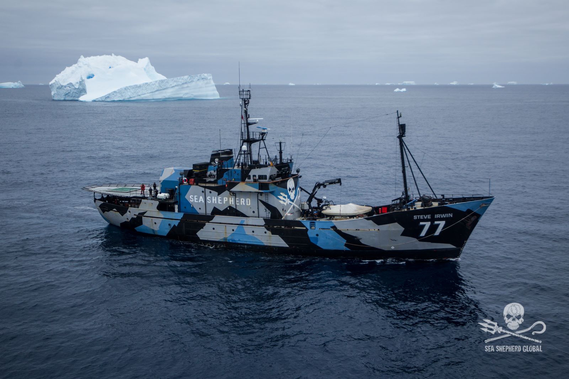 The MV Steve Irwin amongst icebergs in the Southern Ocean Photo- Glenn Lockitch Sea Shepherd Global