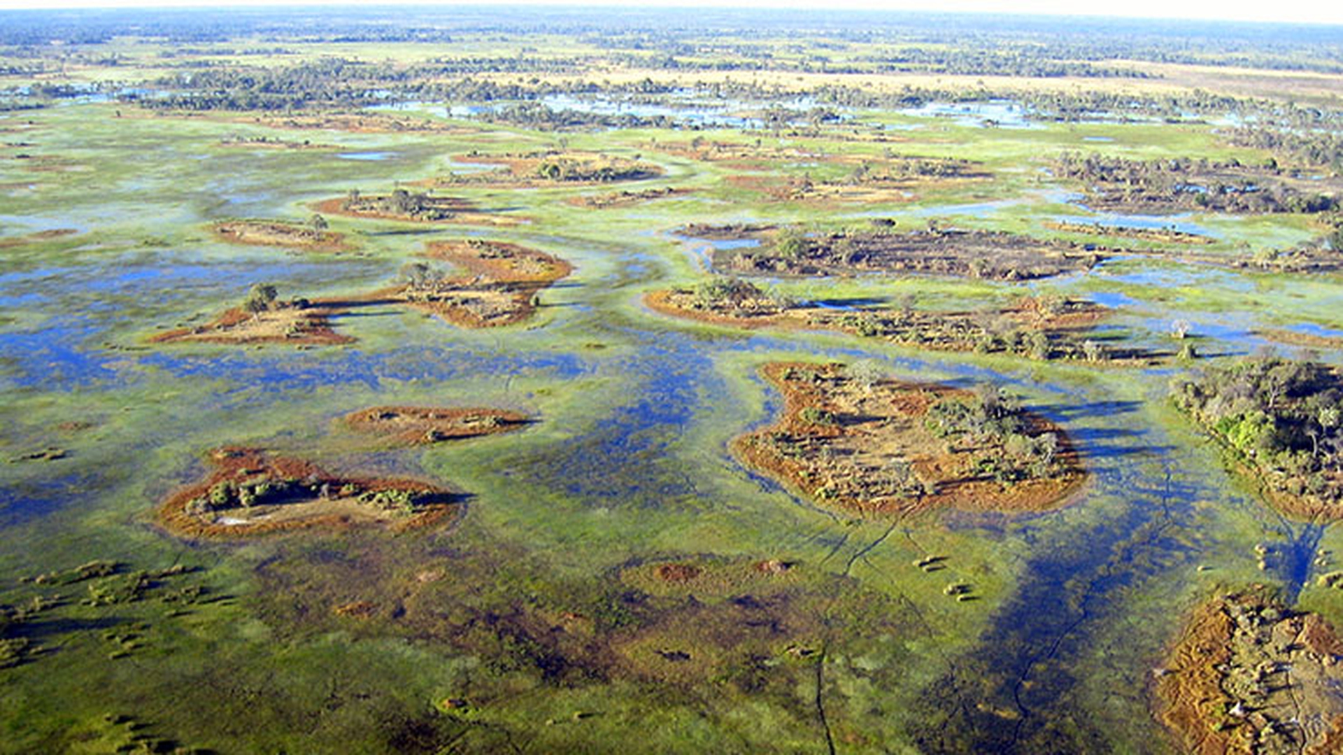 okavango6