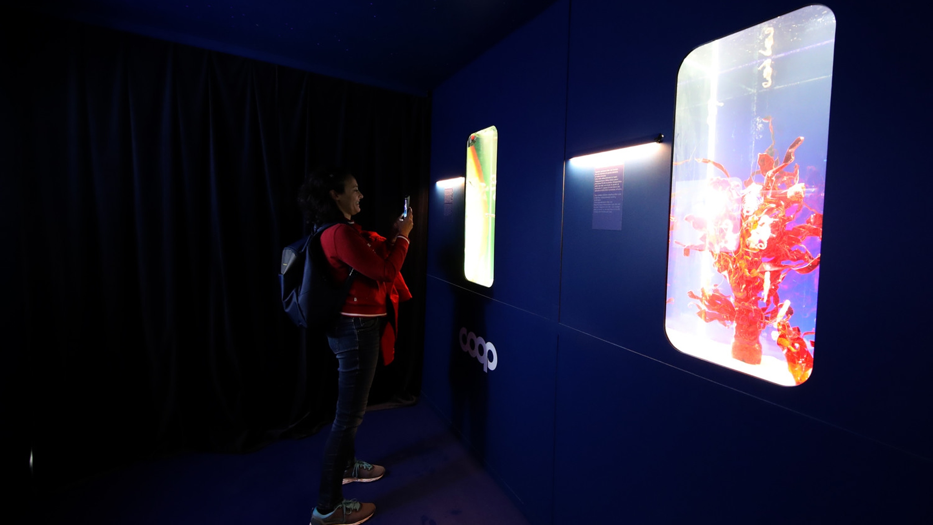 installazione di Coop a Trieste