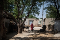 L’India e il land grabbing: quando lo sviluppo economico mette in pericolo popoli, culture e ambiente