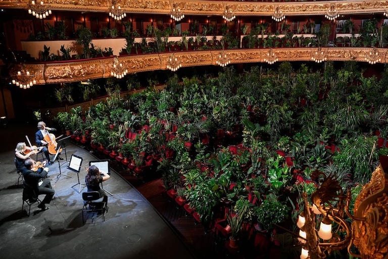 concerto piante barcellona