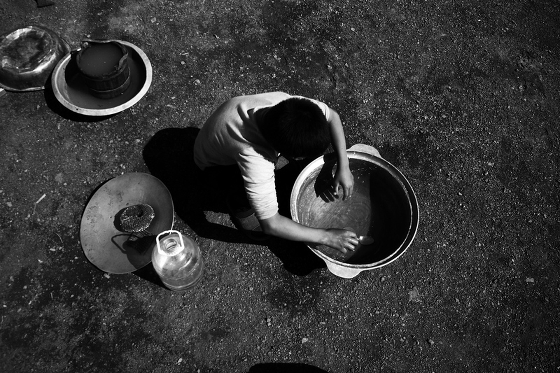 Sara Munari, Vanishing Shepherds