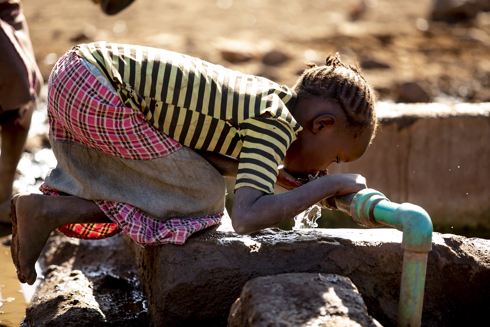 Siccità nel Corno d'Africa