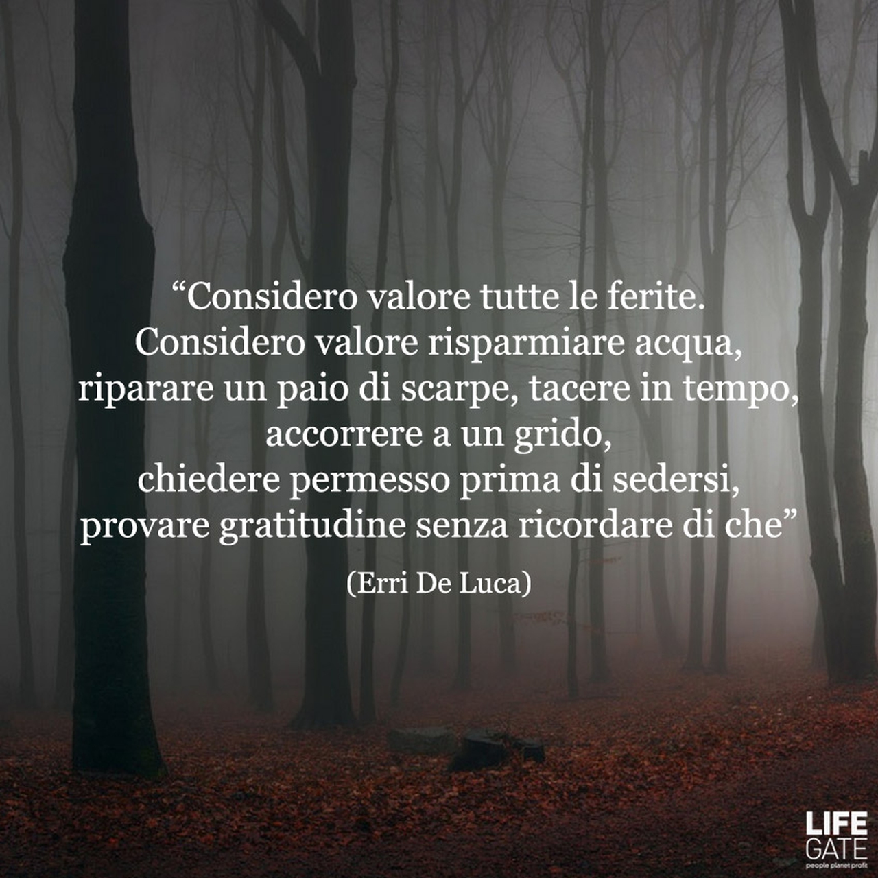 Le Citazioni Più Belle Per Sempre #4 - LifeGate