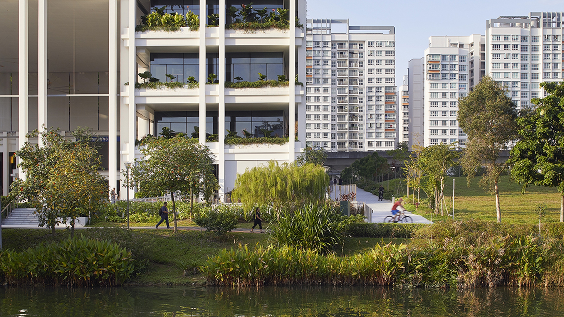 il fiume su cui si affaccia Oasis terraces