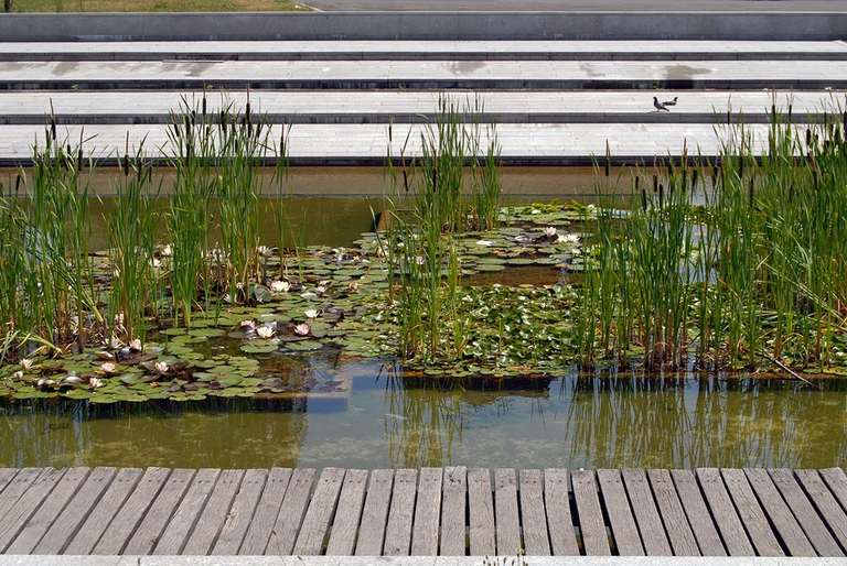 Milano la verde, di Giuseppe Marinoni