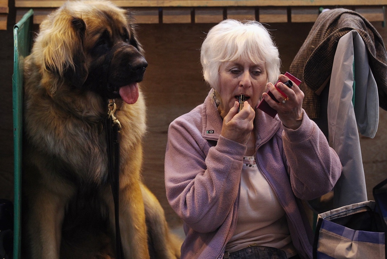 Leonberger con la sua padrona