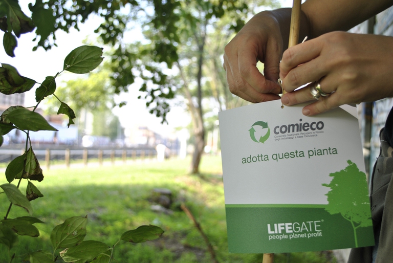 adotta-una-pianta-1140