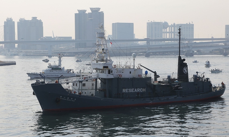 Nave baleniera giapponese