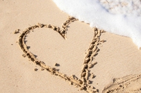 Dall’amore per il mare alla raccolta della plastica, come nasce Love Boat