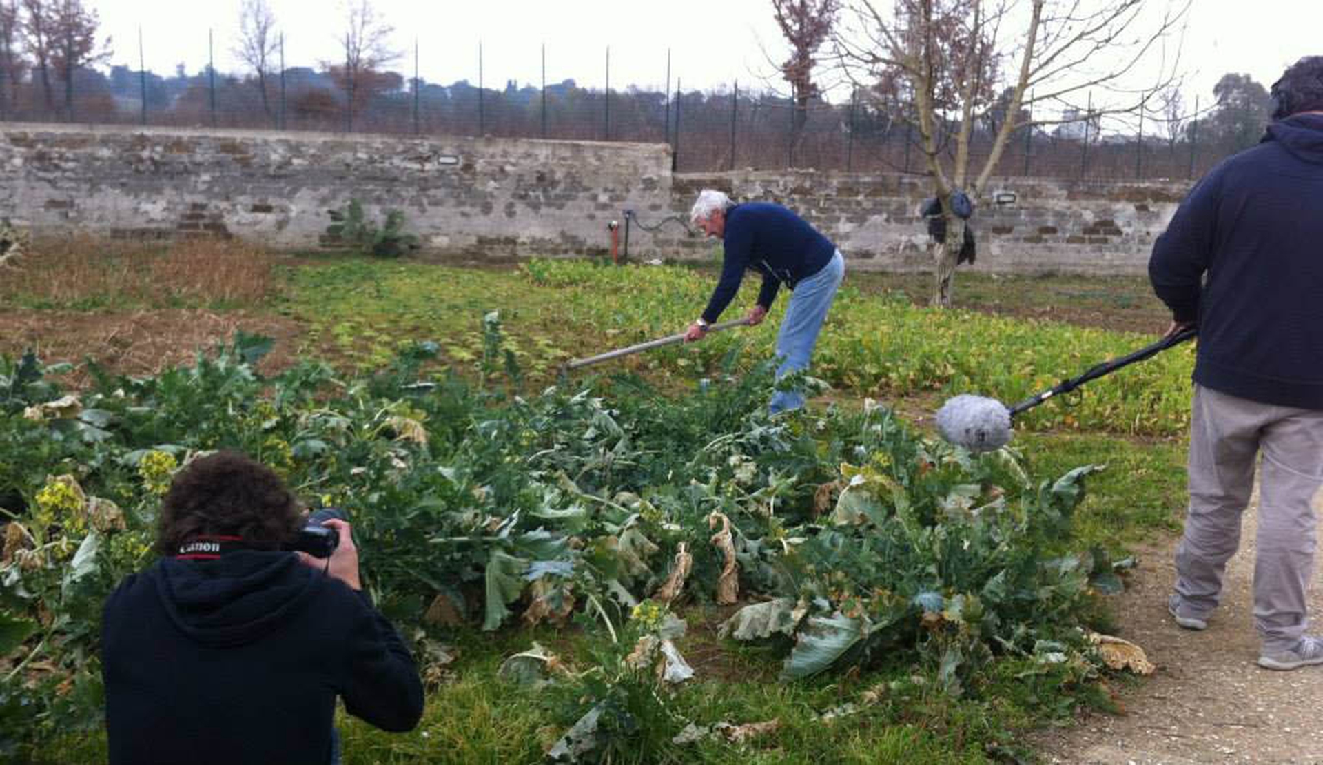 La Terra dei fuochi al cinema