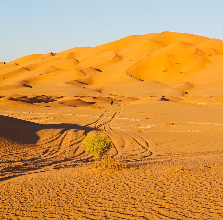Ambiente desertico in Oman