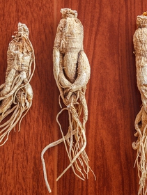 Ginseng, l’alleato per l’autunno, combatte la stanchezza e aumenta le difese