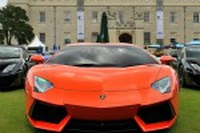 Lamborghini punta alle emissioni zero. Intanto pianta un bosco di querce