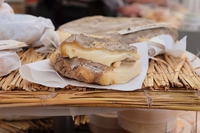 Venti candeline per Cheese, la manifestazione di Slow Food dedicata ai formaggi di qualità